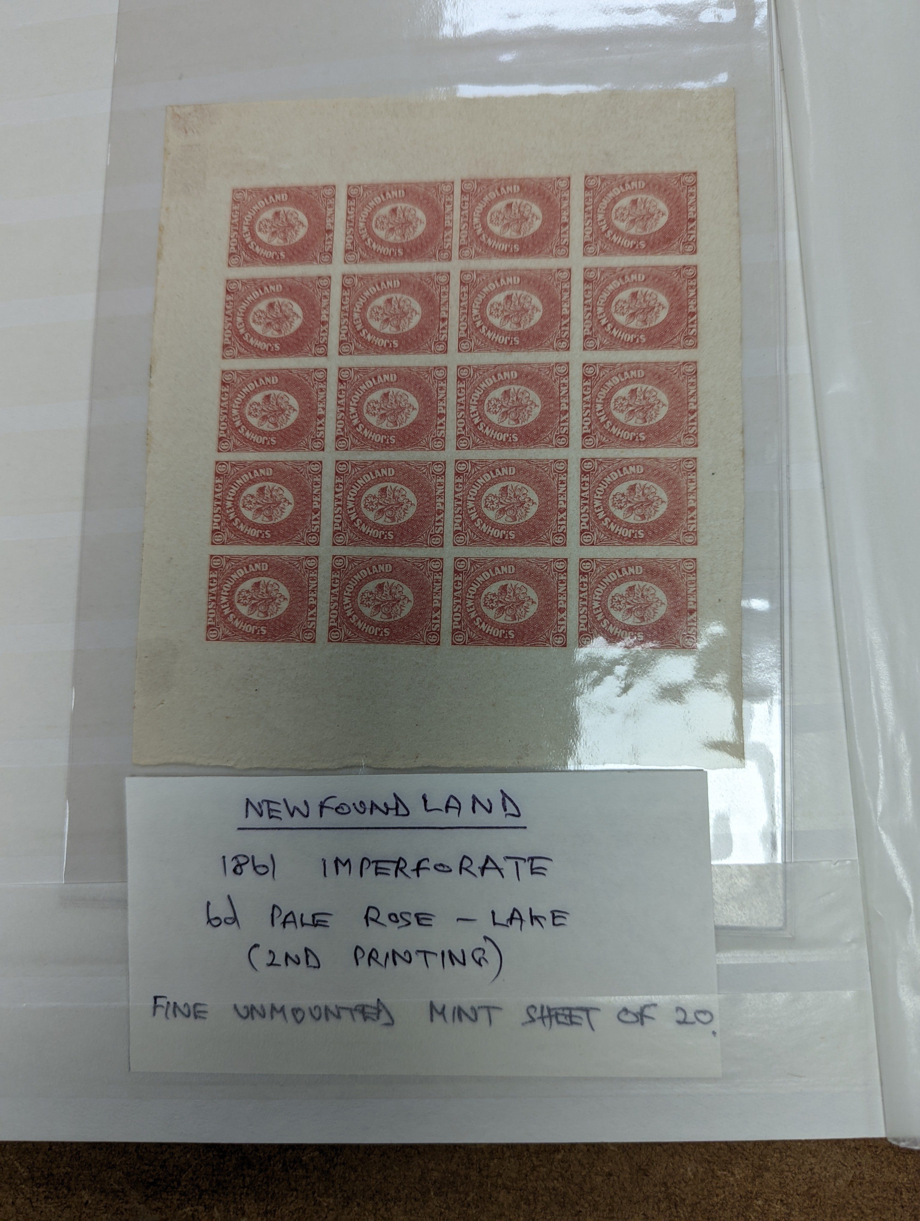 British Commonwealth stamps in stock book with Ascension 1922 set overprinted specimen, 1924 set mint, Bahamas, Barbados Britannia Heads, Cyprus 1928 anniversary set- £1 mint, Falkland 1s. 1878 1d claret mint (and certif